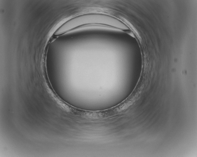 X0000083620901200703051606