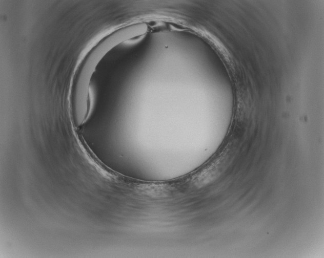 X0000083620902200703051606