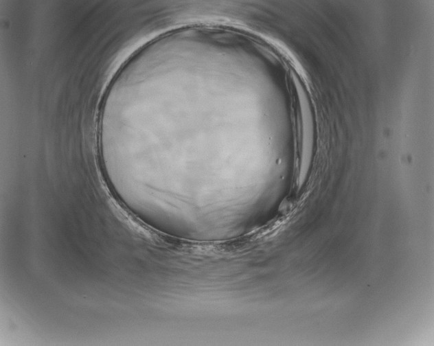 X0000083620903200703051606