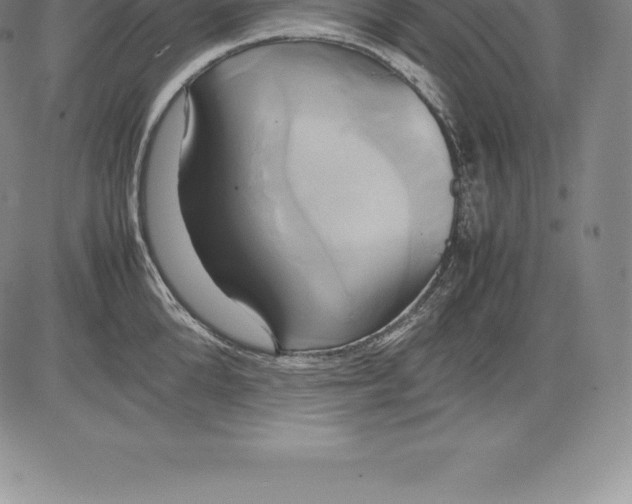 X0000083620904200703051606