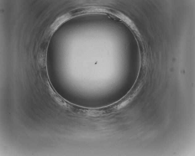 X0000083620905200703051606