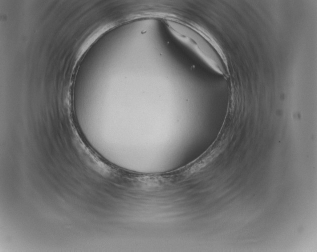 X0000083620906200703051606