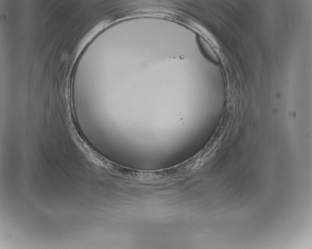 X0000083620907200703051606