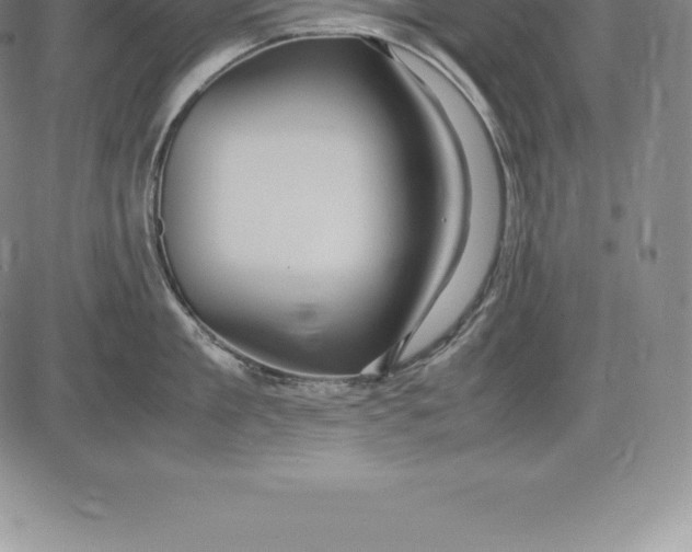 X0000083620909200703051606