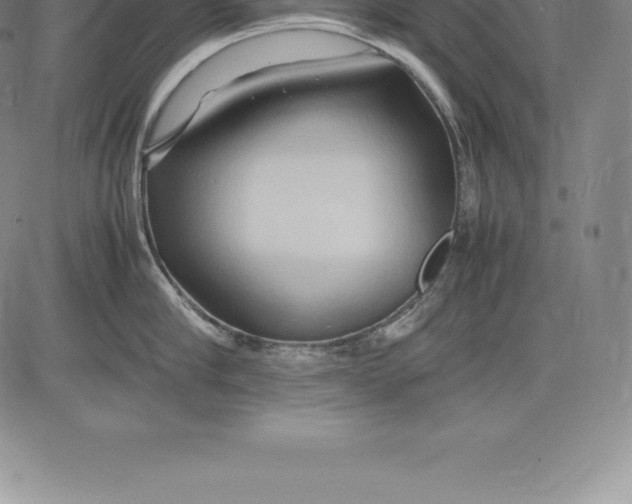 X0000083620910200703051606