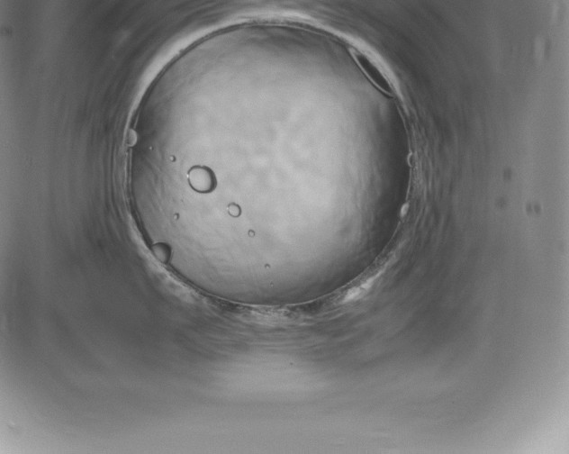 X0000083620911200703051606