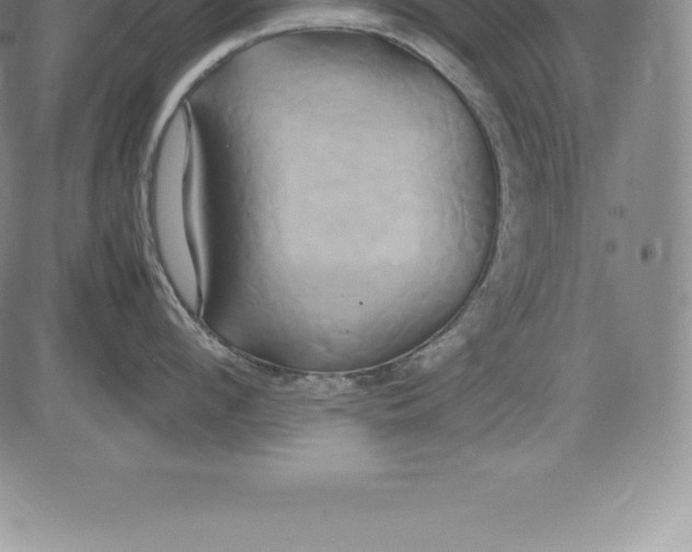 X0000083620912200703051606