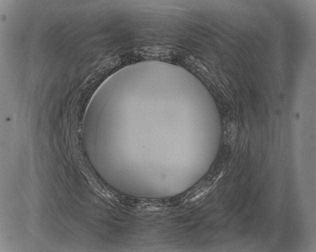 X0000083620913200703051605