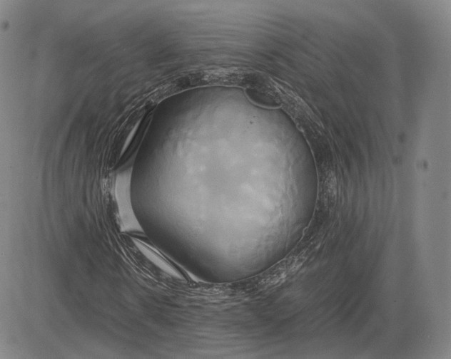 X0000083620914200703051605