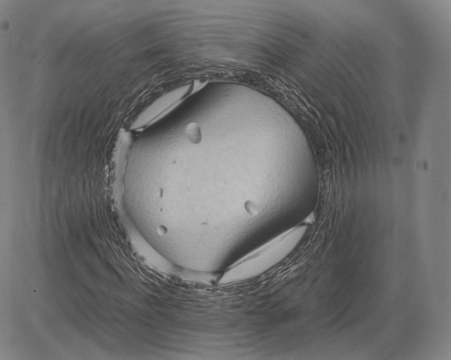 X0000083620916200703051605