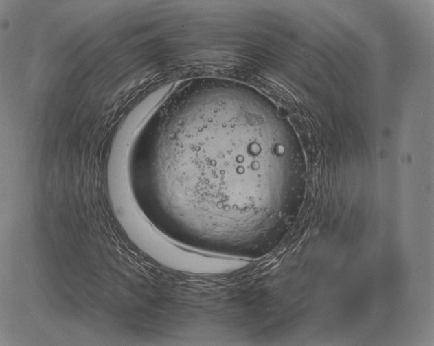 X0000083620917200703051605