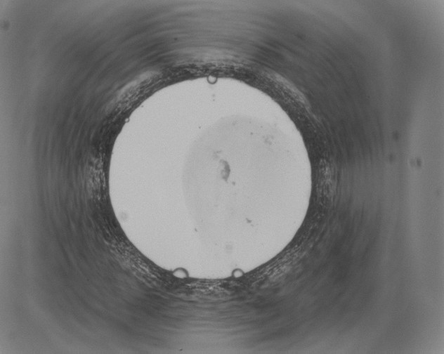 X0000083620918200703051605