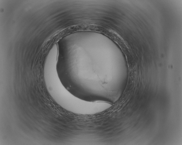 X0000083620919200703051605