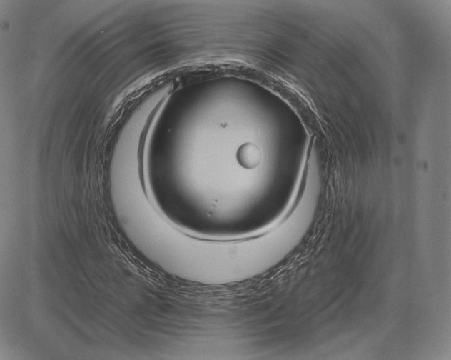 X0000083620920200703051605