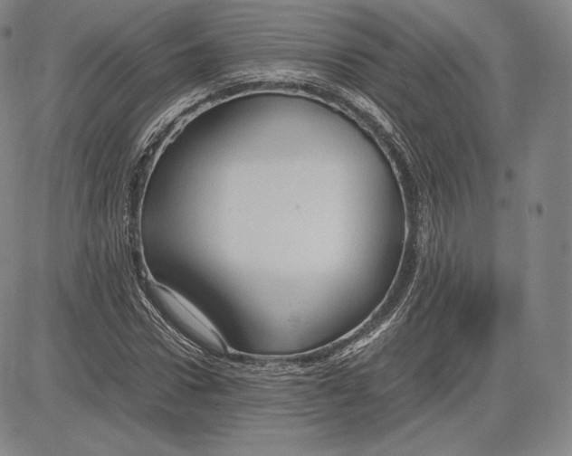 X0000083620922200703051605