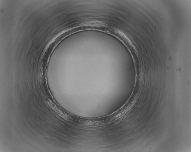 X0000083620923200703051605