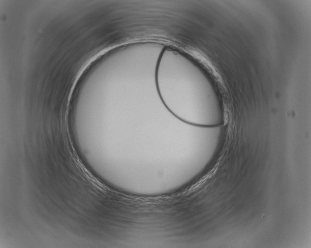 X0000083620924200703051605