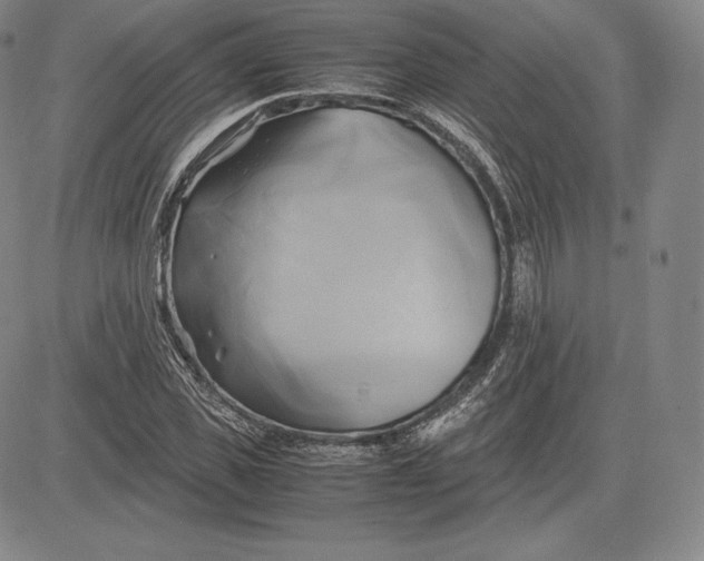 X0000083620925200703051605