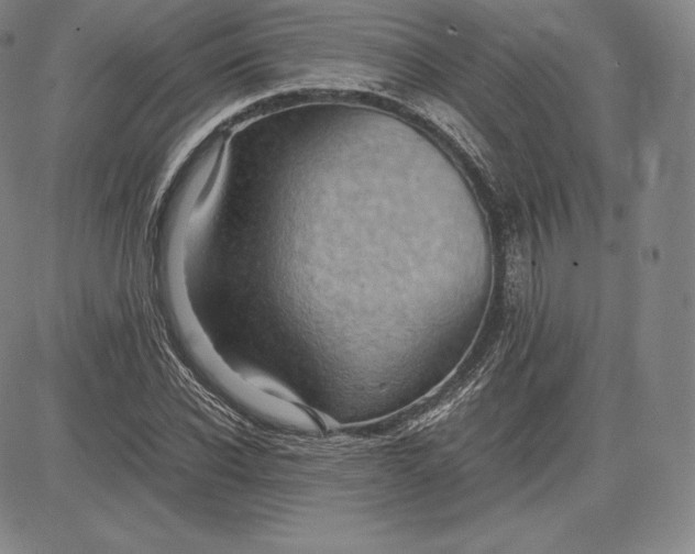 X0000083620926200703051605