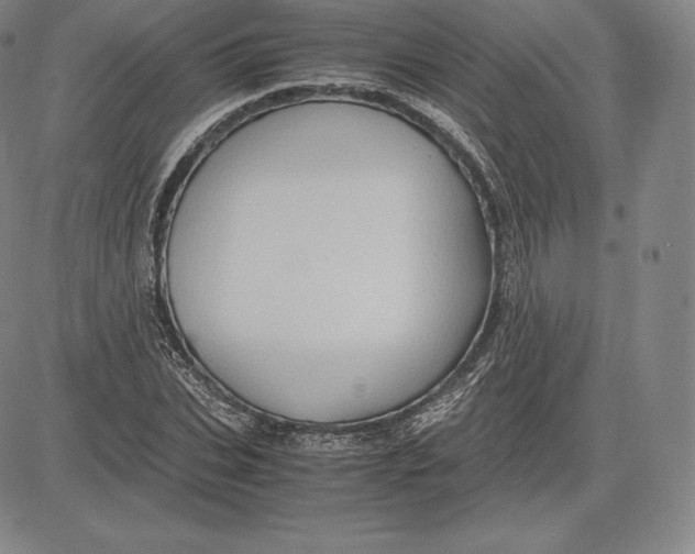 X0000083620927200703051605