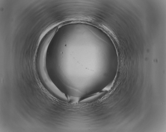 X0000083620928200703051605