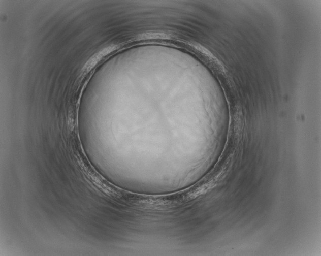 X0000083620929200703051605