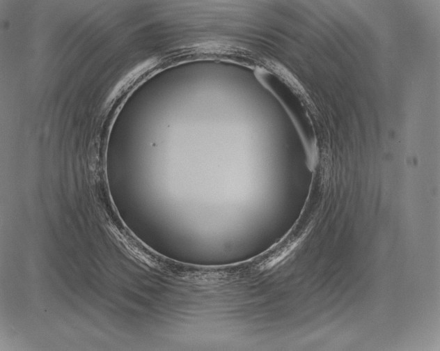 X0000083620930200703051605