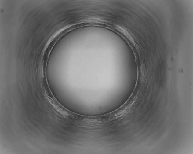 X0000083620931200703051605