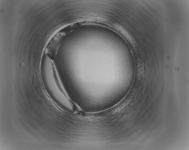 X0000083620932200703051605