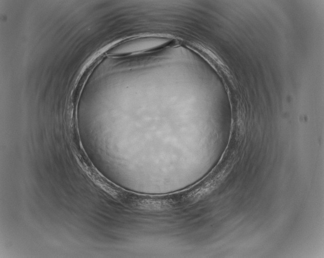 X0000083620933200703051605