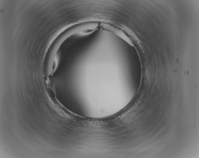 X0000083620934200703051605