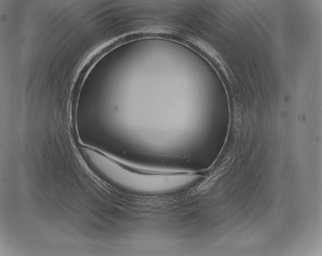 X0000083620935200703051605