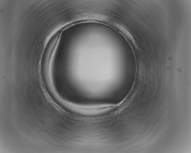 X0000083620936200703051605