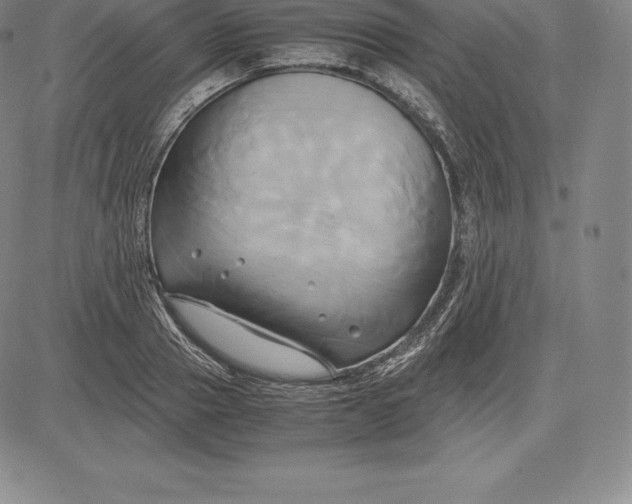 X0000083620937200703051605