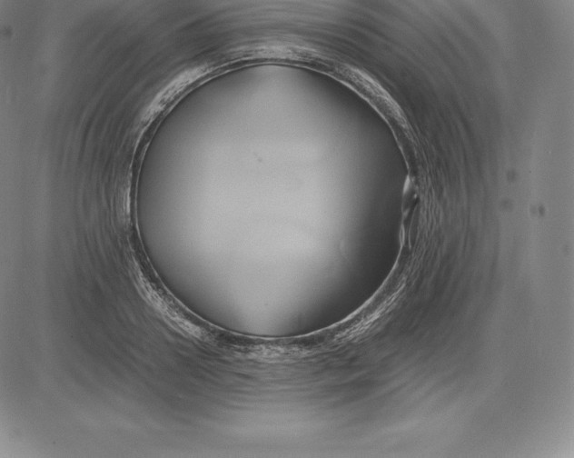 X0000083620938200703051606