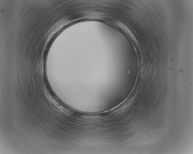 X0000083620939200703051606