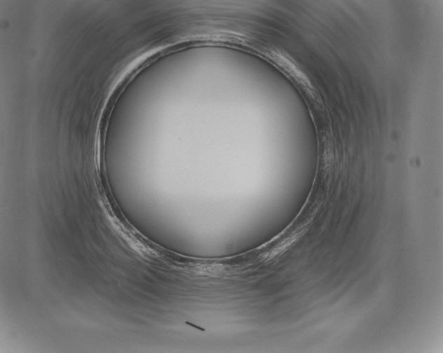 X0000083620940200703051606