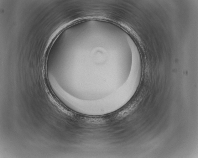 X0000083620941200703051606