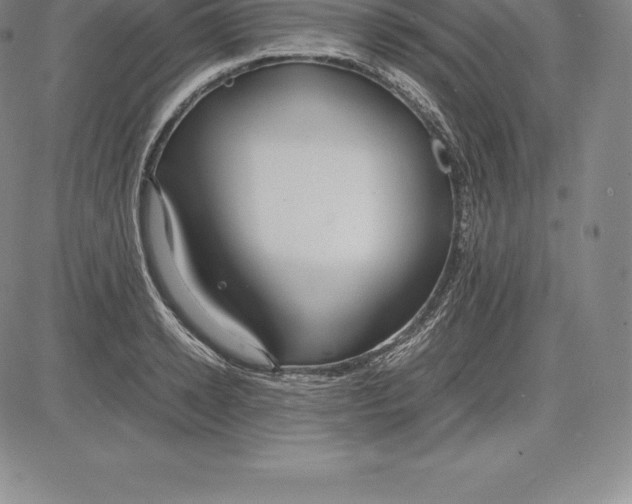 X0000083620942200703051606