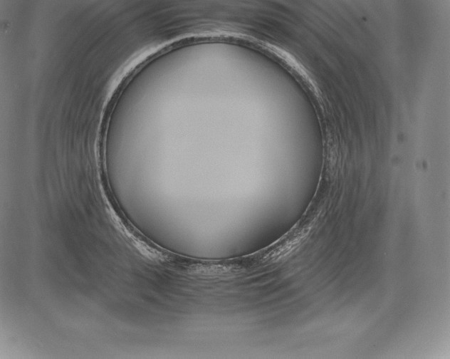 X0000083620943200703051606