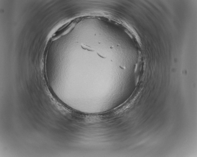 X0000083620944200703051606