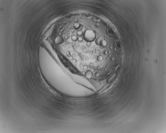 X0000083620945200703051606