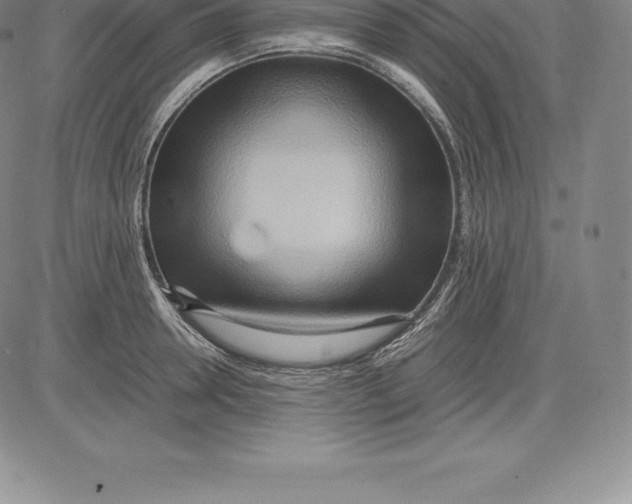 X0000083620946200703051606