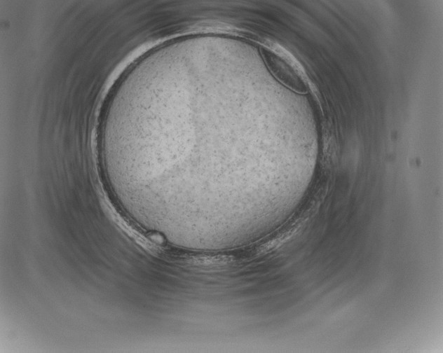 X0000083620947200703051606