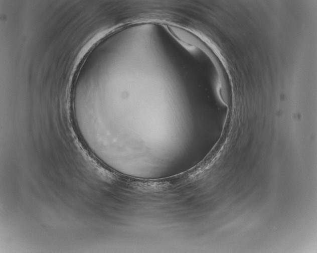 X0000083620949200703051606