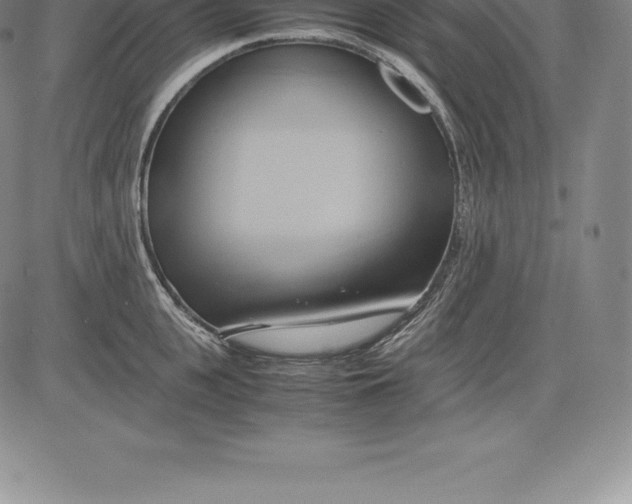 X0000083620951200703051606