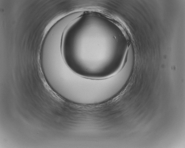 X0000083620952200703051606