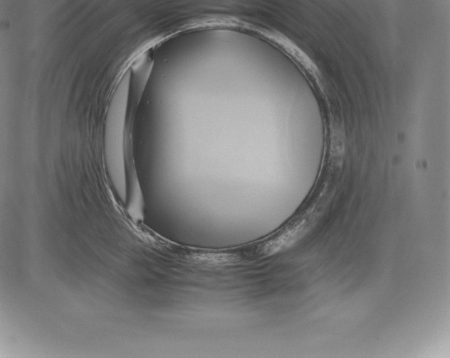 X0000083620953200703051606