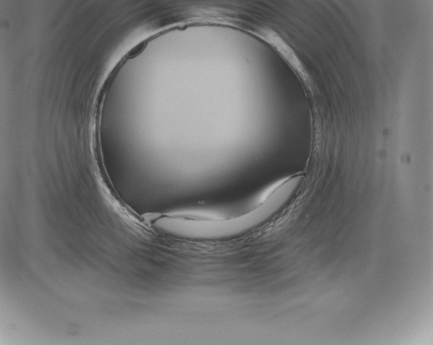 X0000083620955200703051606