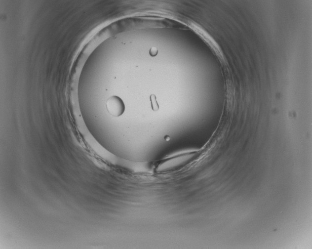 X0000083620956200703051606